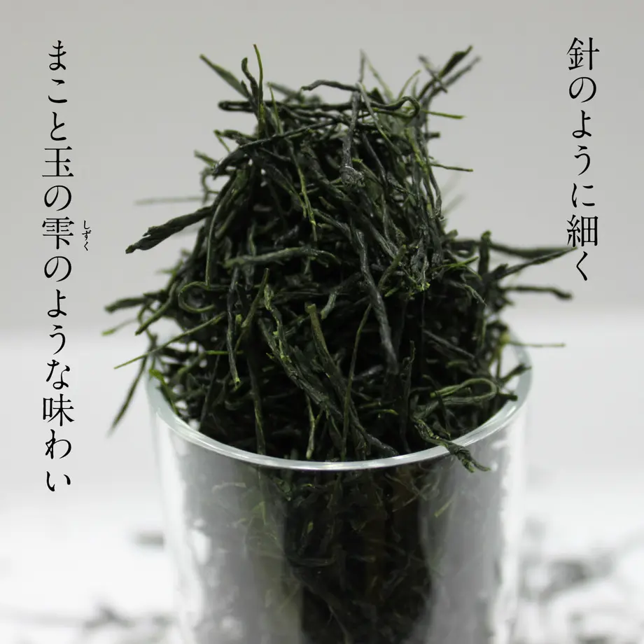 53016b83236a1e2f280004fa
