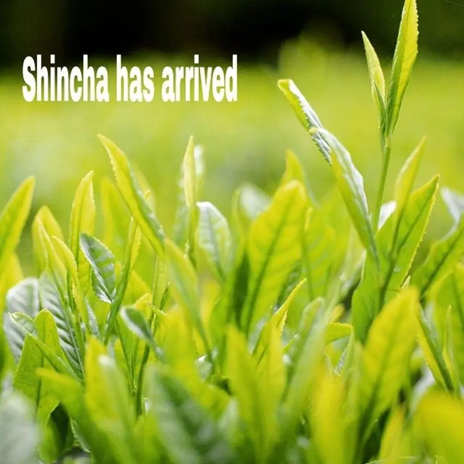 533a662483f153e51d00002c