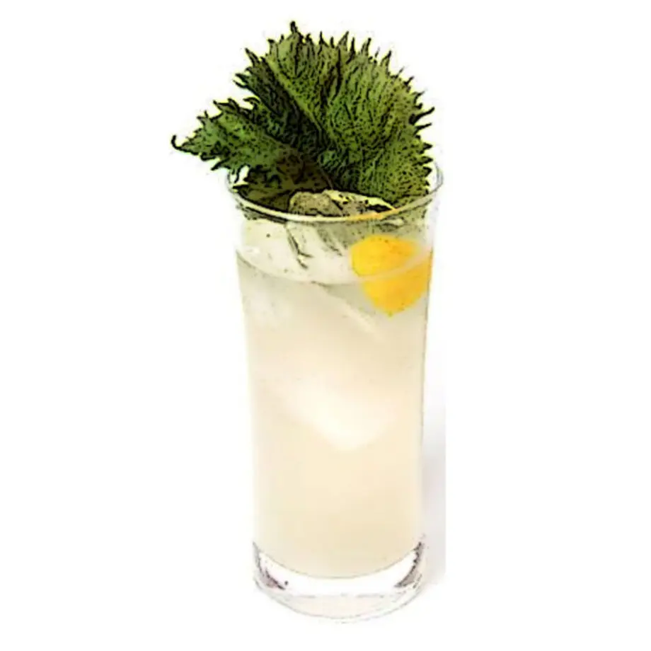 KIMINO YUZU SPARKLING キミノユズ 250ml瓶 (109758) A...