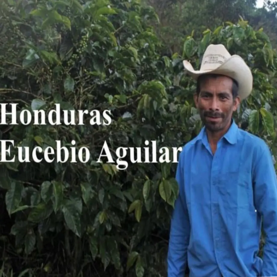 61a021cfecd0575e361369d6