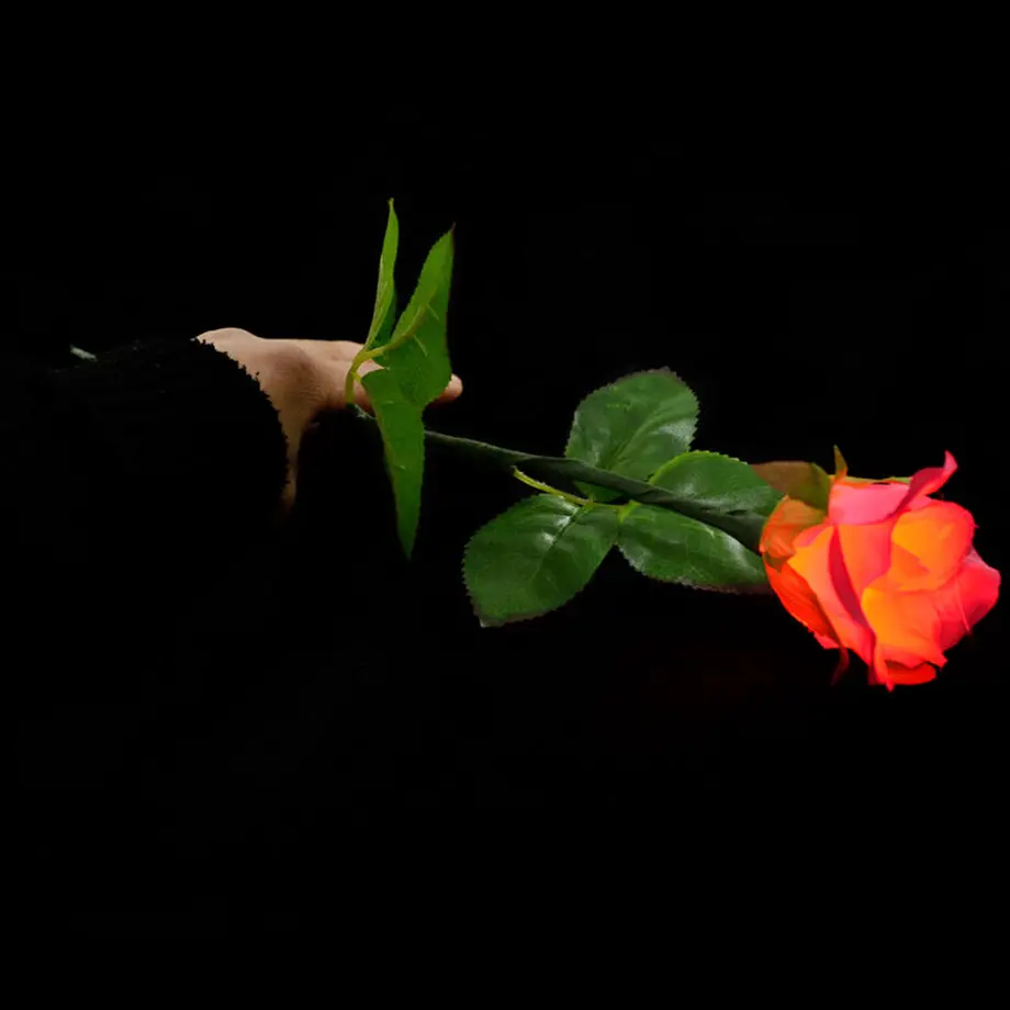 5d42732608382923f0c50997