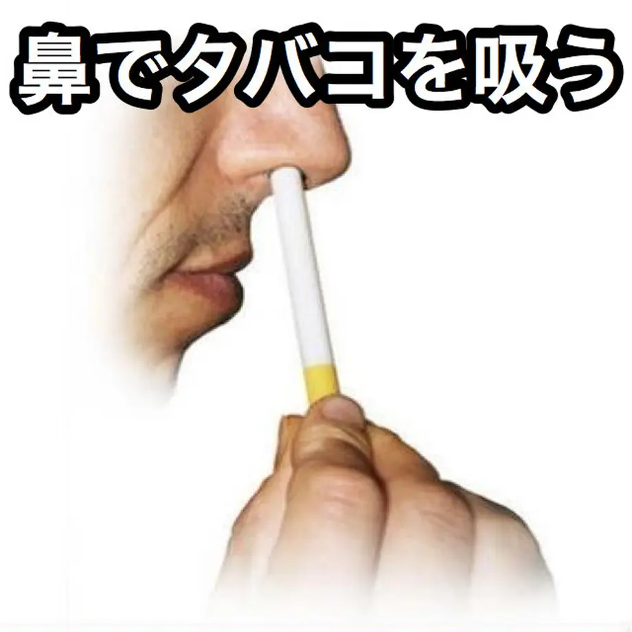 5c5a5ce33b636568c8c2c2b6