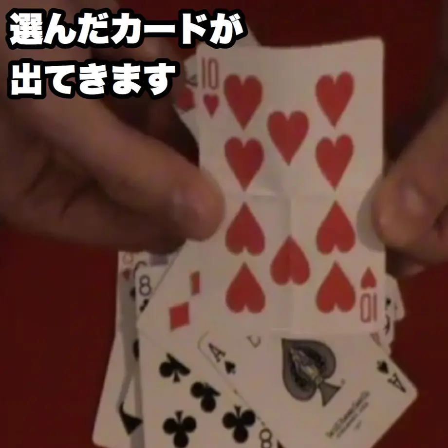 5f50535437b0bc12f8f91f20