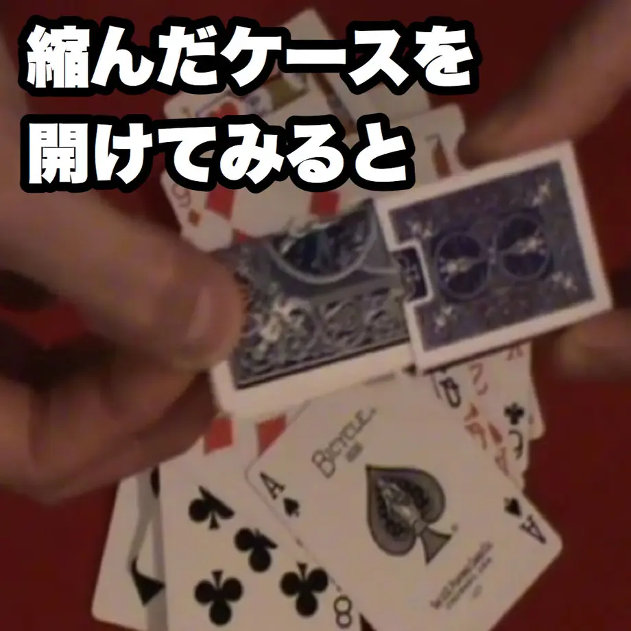 5f50535437b0bc12f8f91f20