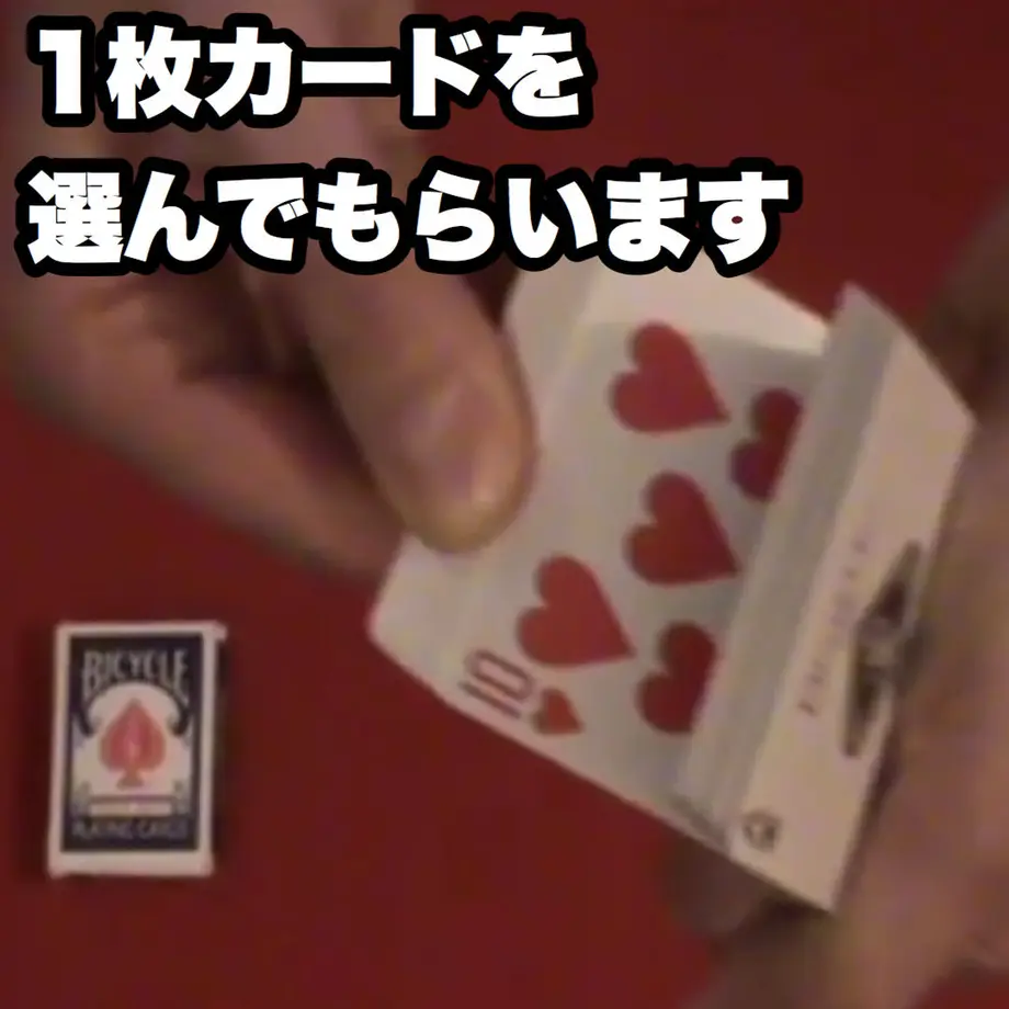 5f50535437b0bc12f8f91f20