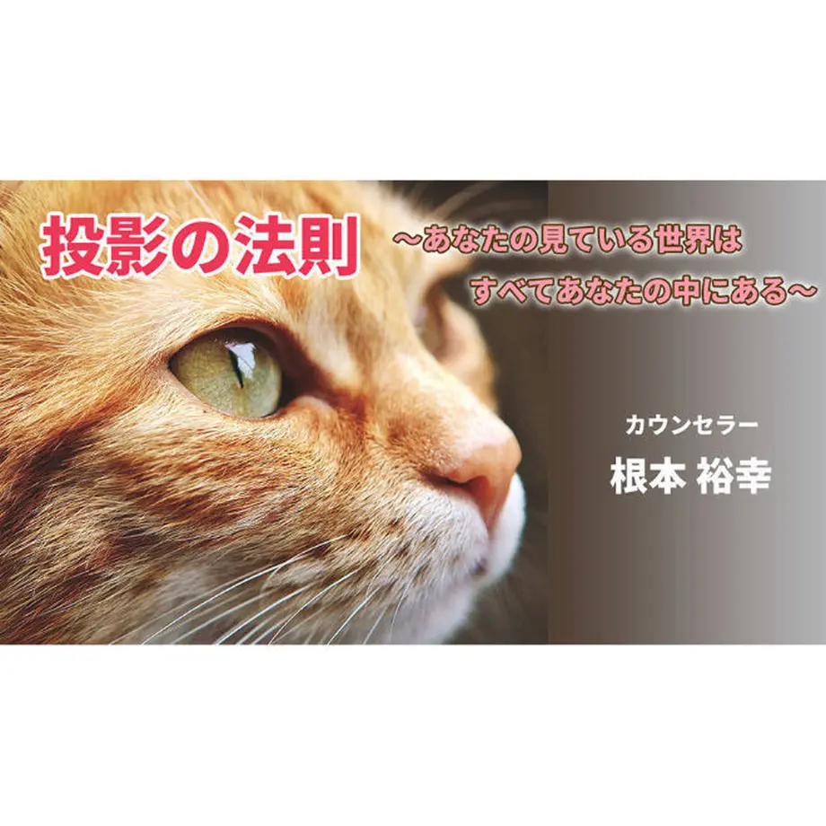 5e6b0f059df16372a33b837b