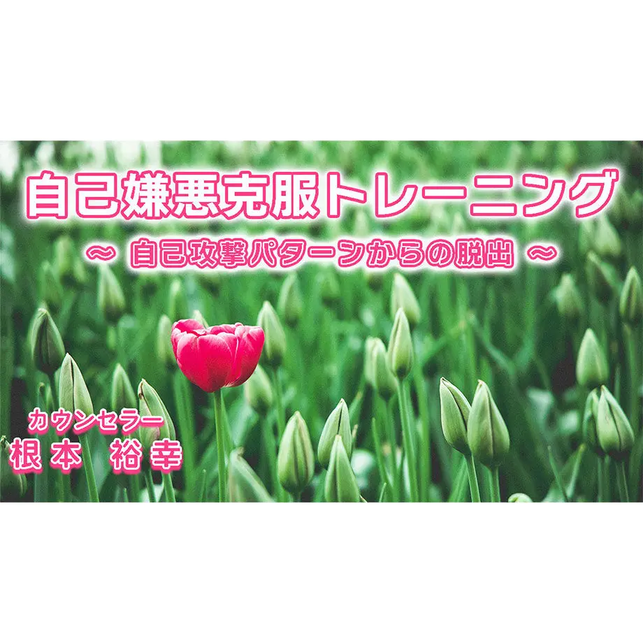 61a3551bc72586646dd34f5a
