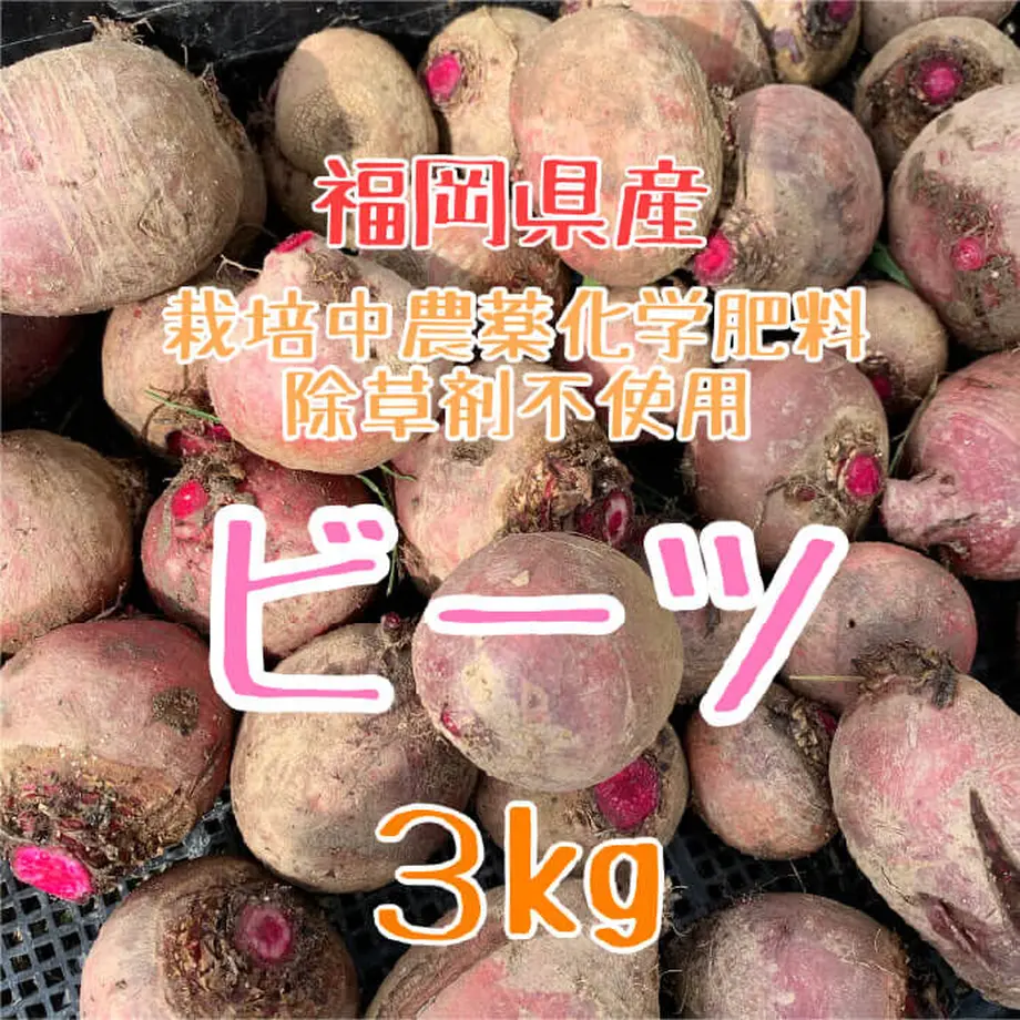 5ee8c929b5a425538c52293a