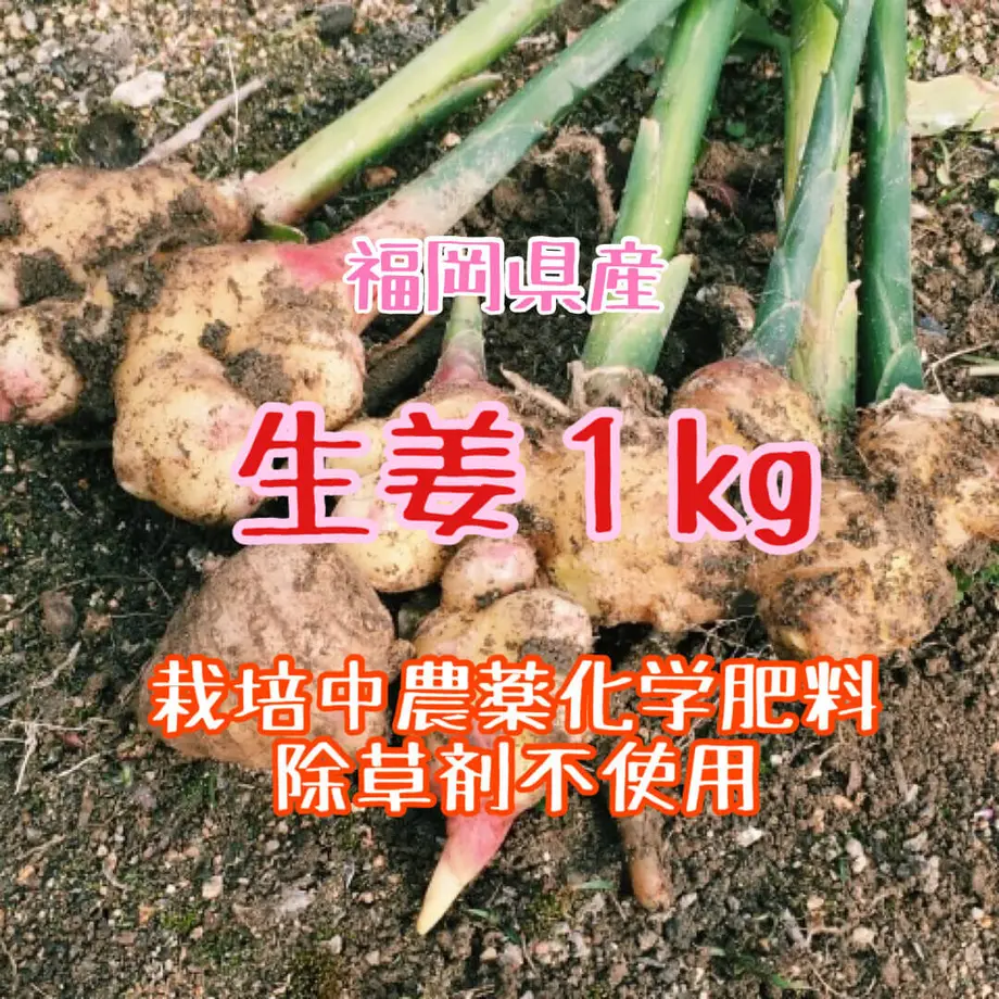 619624f1a8867e1a44c87e94