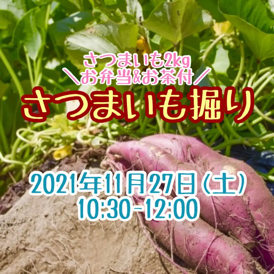 61729ed14e8082421e427e0d
