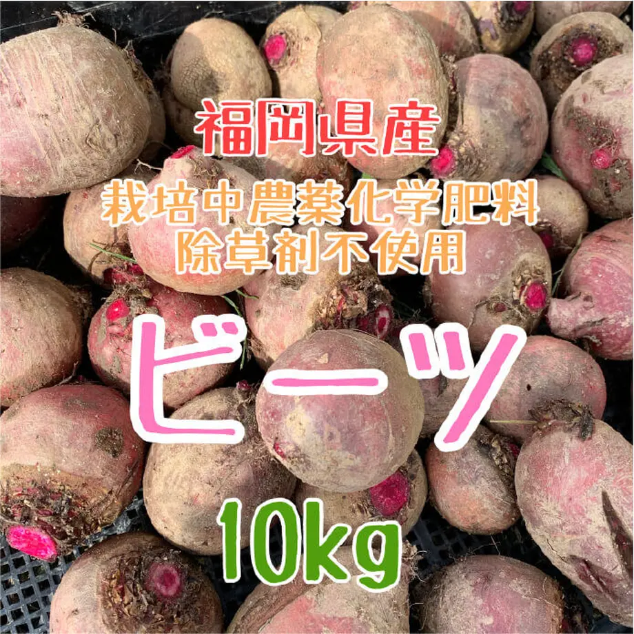 60b6ed0d9a5b754c9b877f04