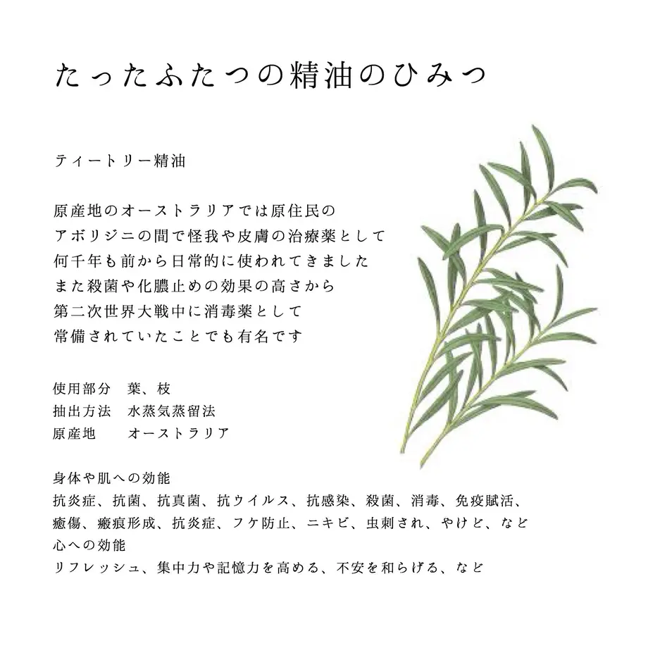 549cc1b1ef3377981b0006e8