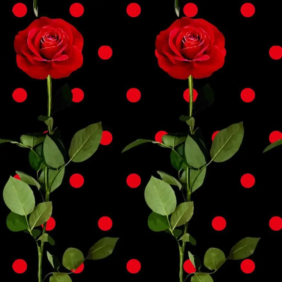 626a24928d26fa4cd075a0f3