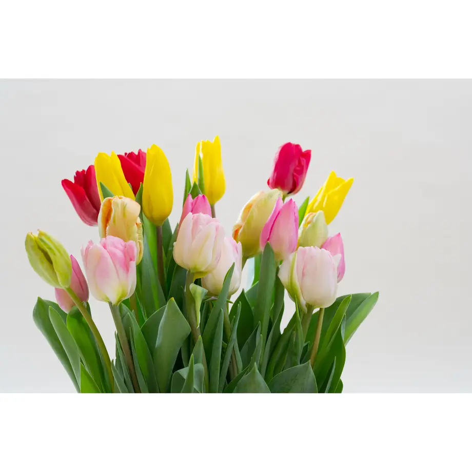 5df18ada63538a7b9705baed