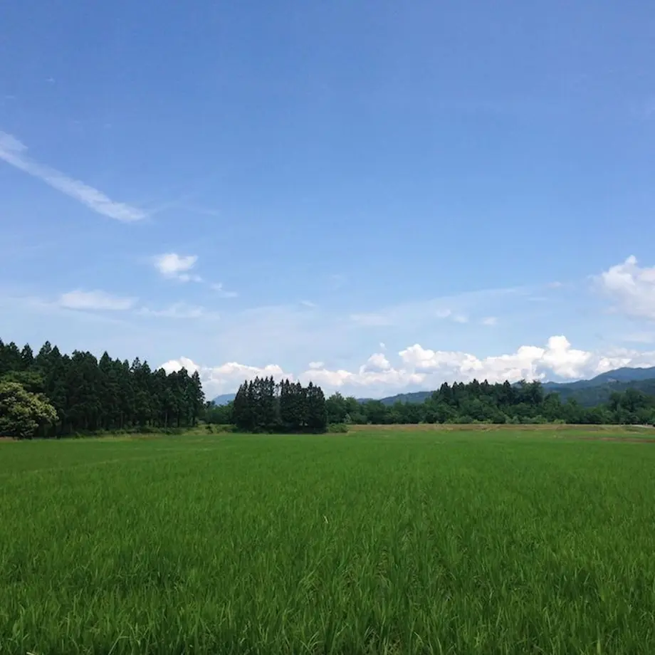 5fa69c2572eb463014e5ab8d