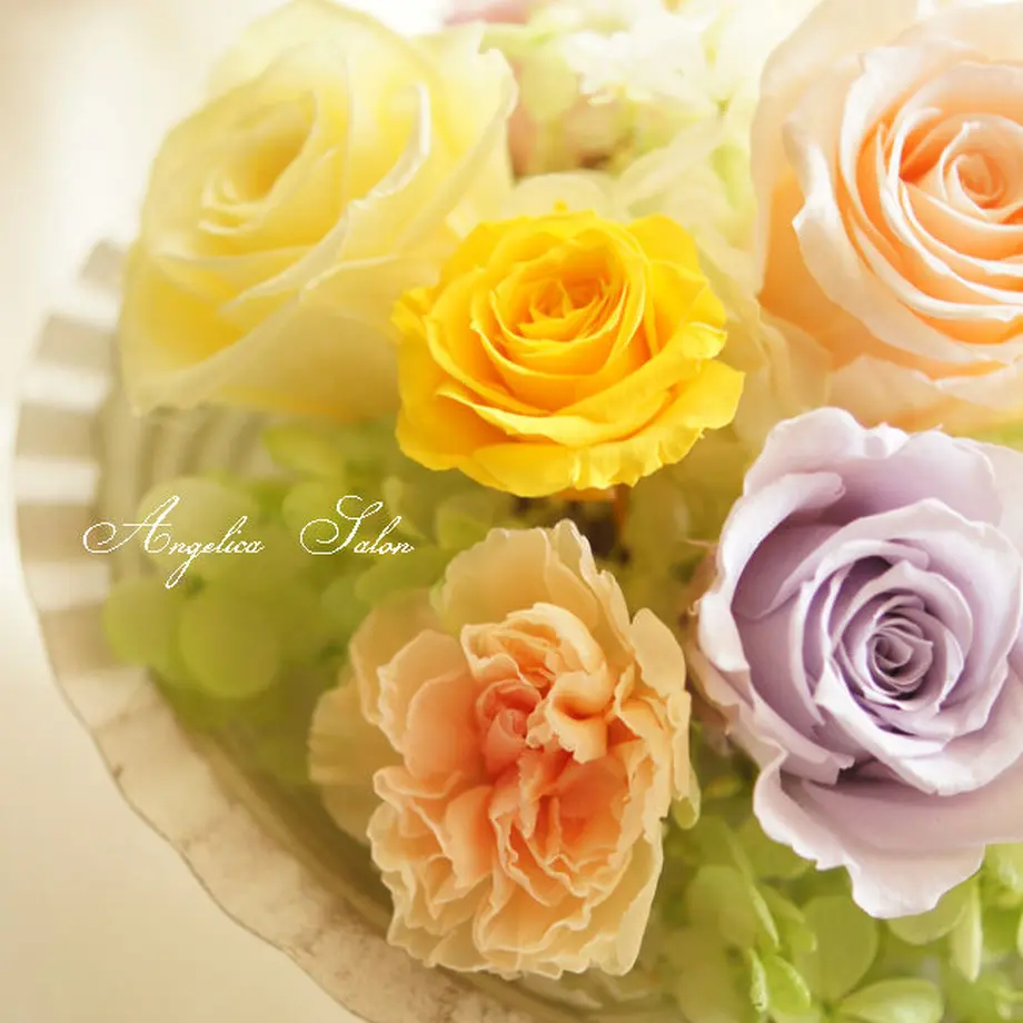 553ed80b86b188ae28000786