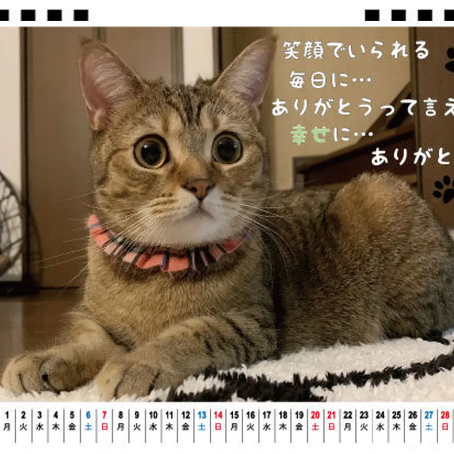 5f8cdc576e8b2b6579328c27