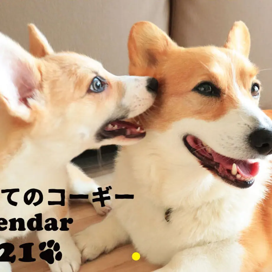 5f75244f8b4f202dd7045c21