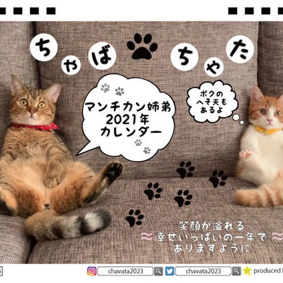 5f8cdc576e8b2b6579328c27