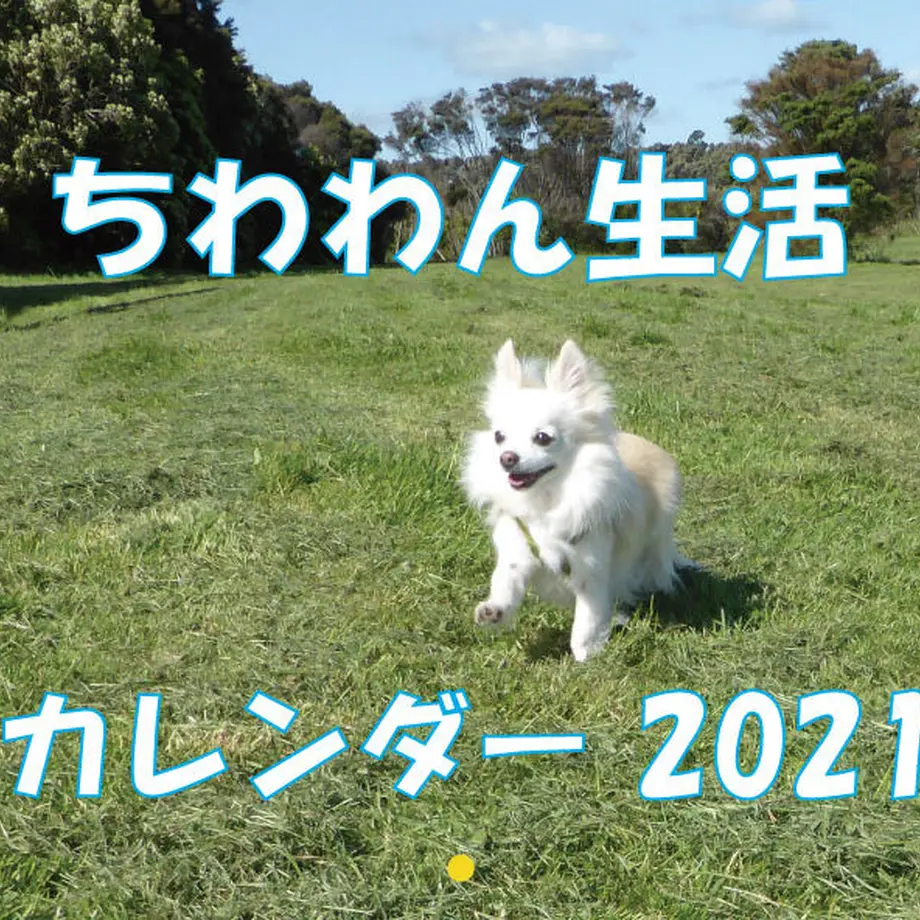 5f7524508b4f202dd7045c33