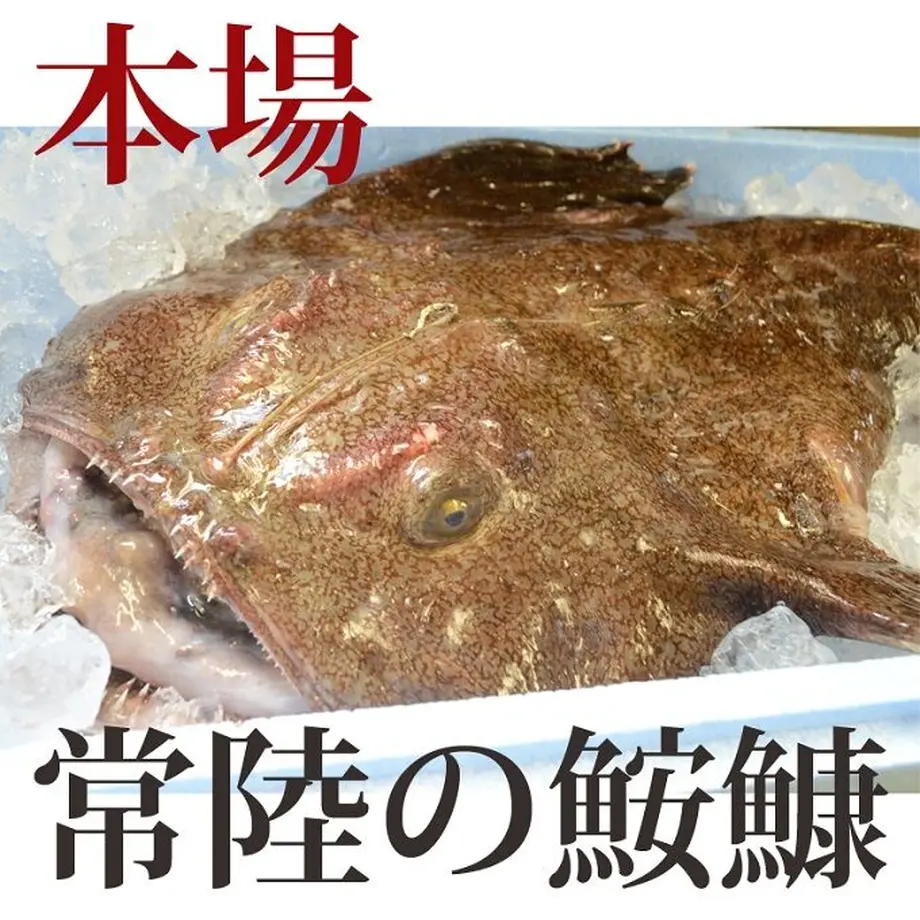 511b3037421aa930e900015c