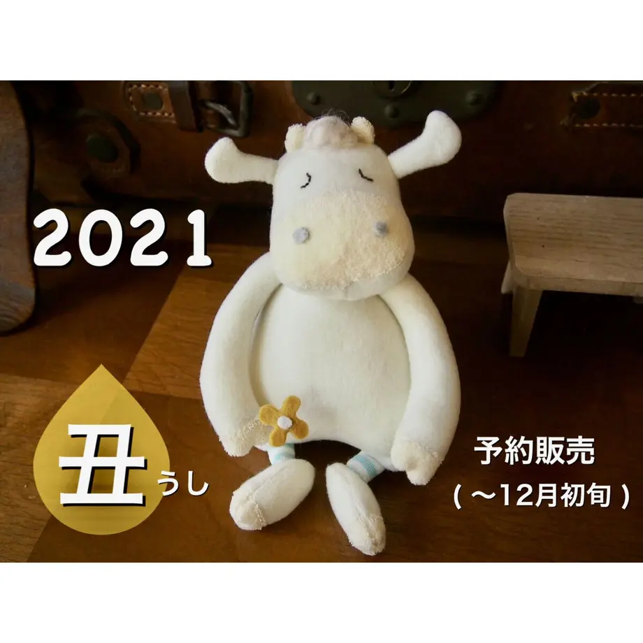 5fa4022bda019c5fff12b3fc