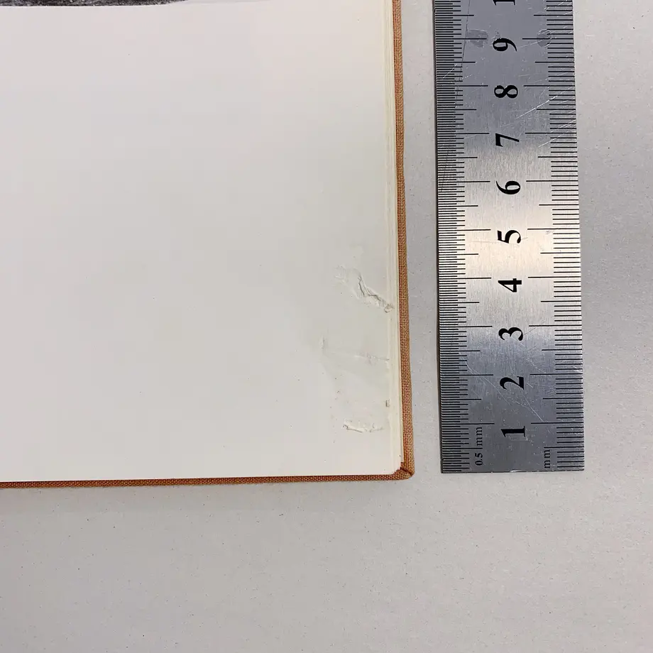 5c554fabc2fc282ff9d25124