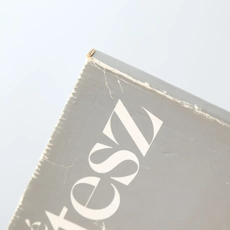 5fb2081dda019c3ce6580851