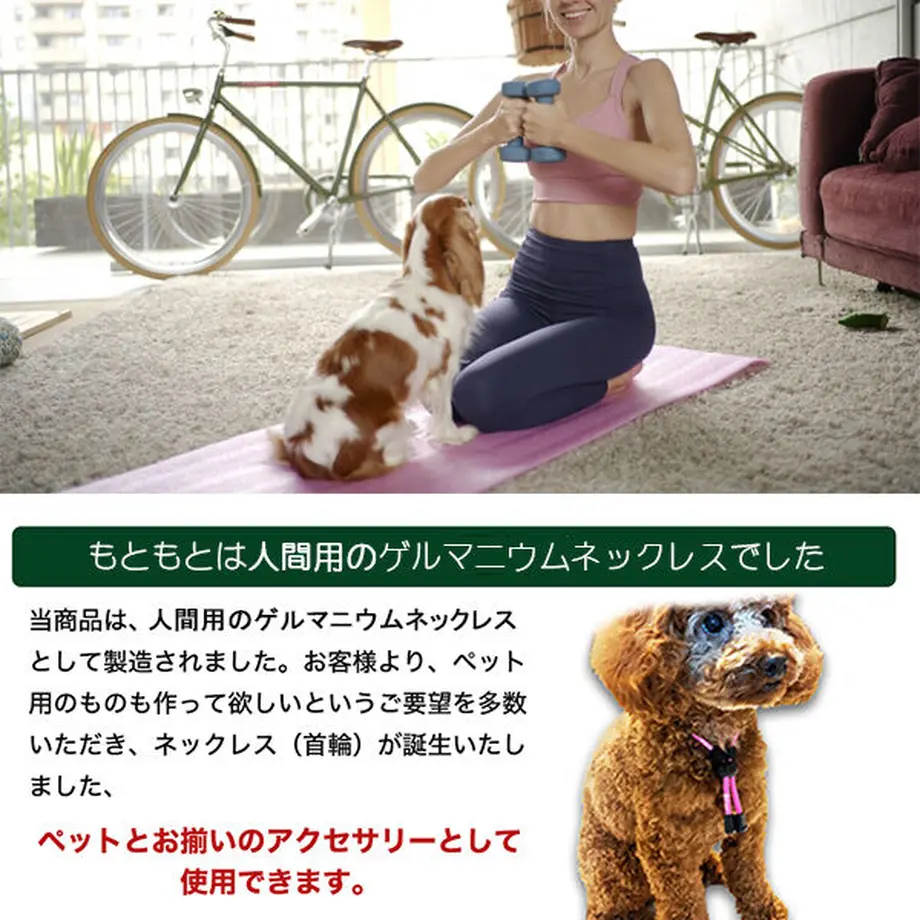 5fac8c2db00aa3282cd0d16e