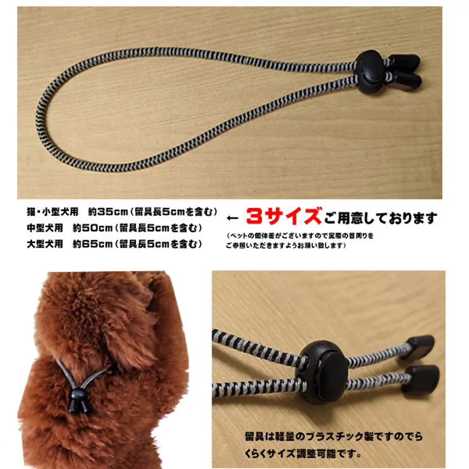 5e61c6d668c462453a53538f