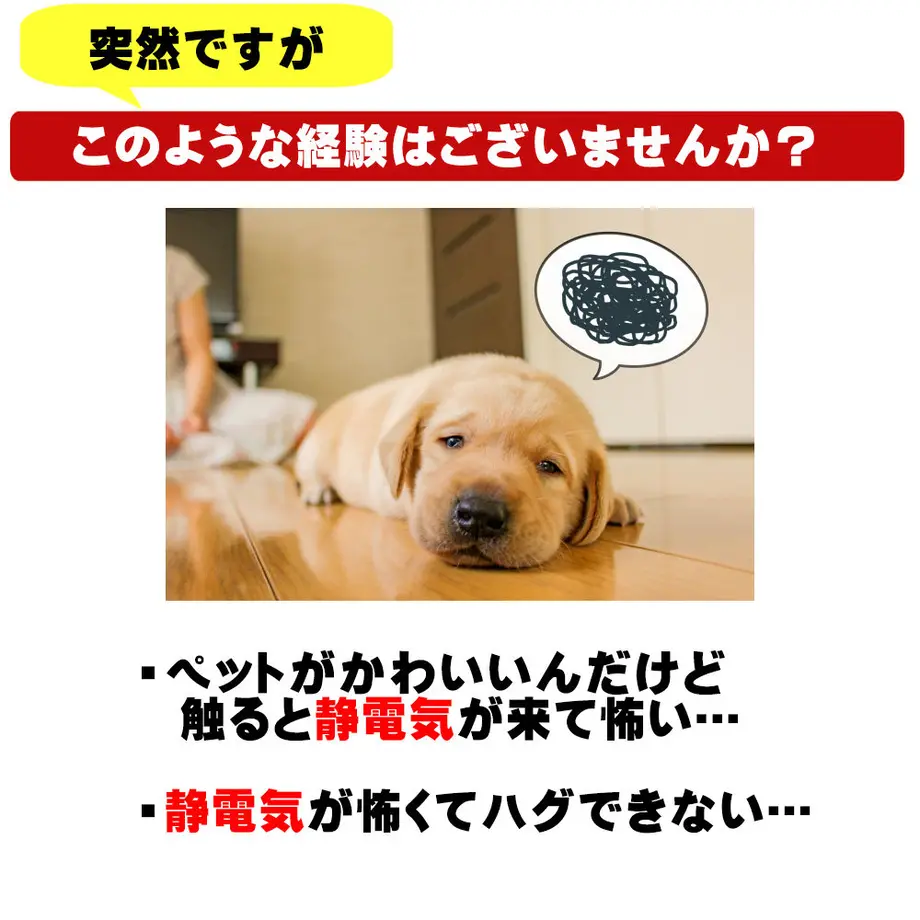 5e61c6d668c462453a53538f