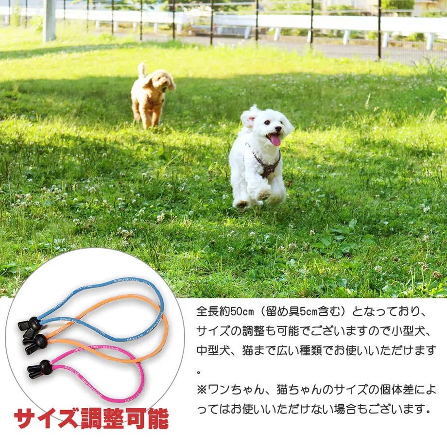 5fac8c2db00aa3282cd0d16e