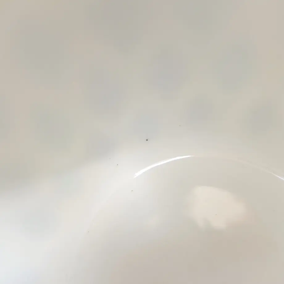 5fa22dccdf51596657f44987