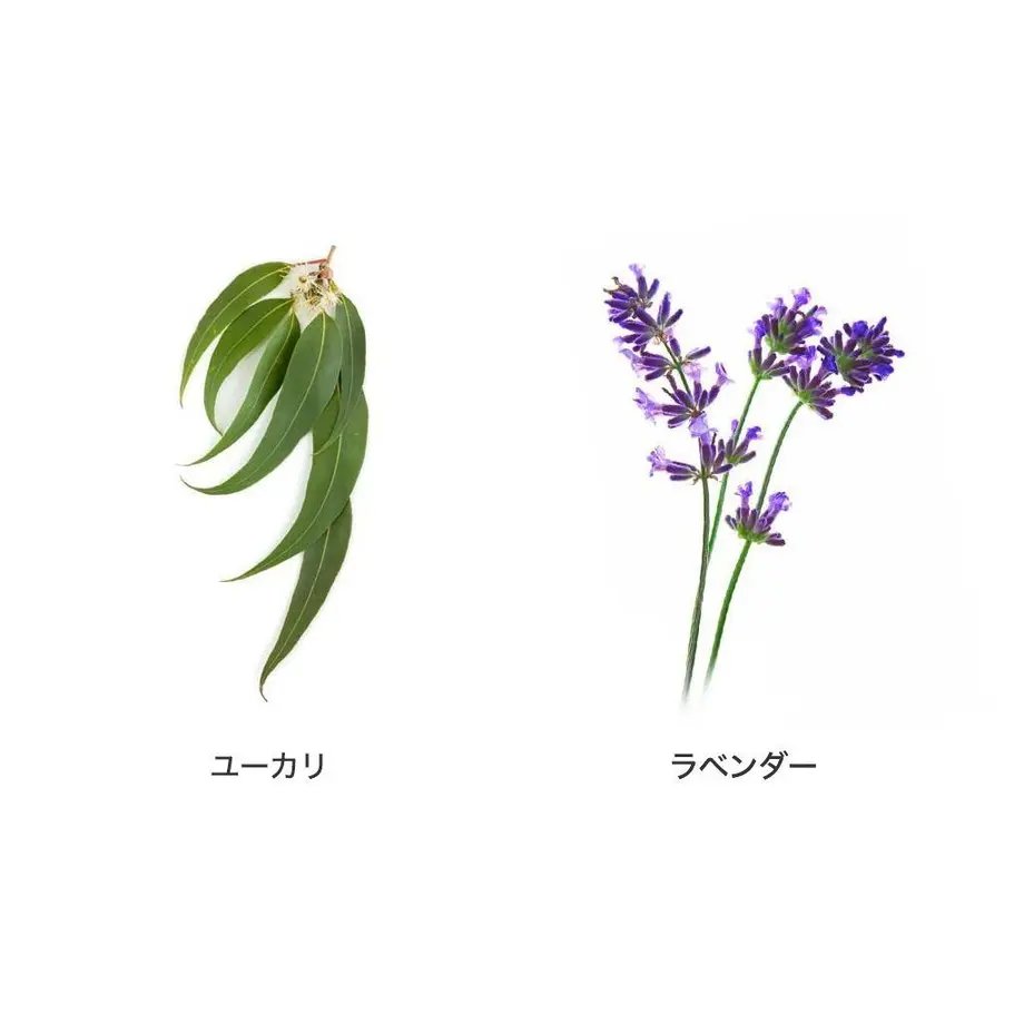 5d37f2b666d86c026e8ed6fb