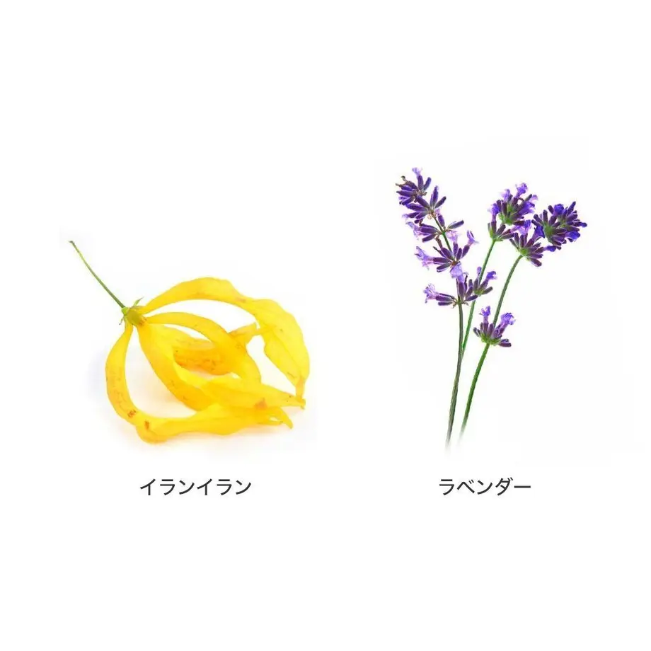 5d37eab62e89b75677f79d21