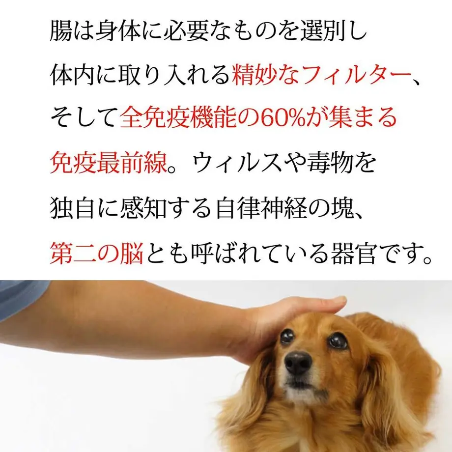 58b67f1da458c08121001254