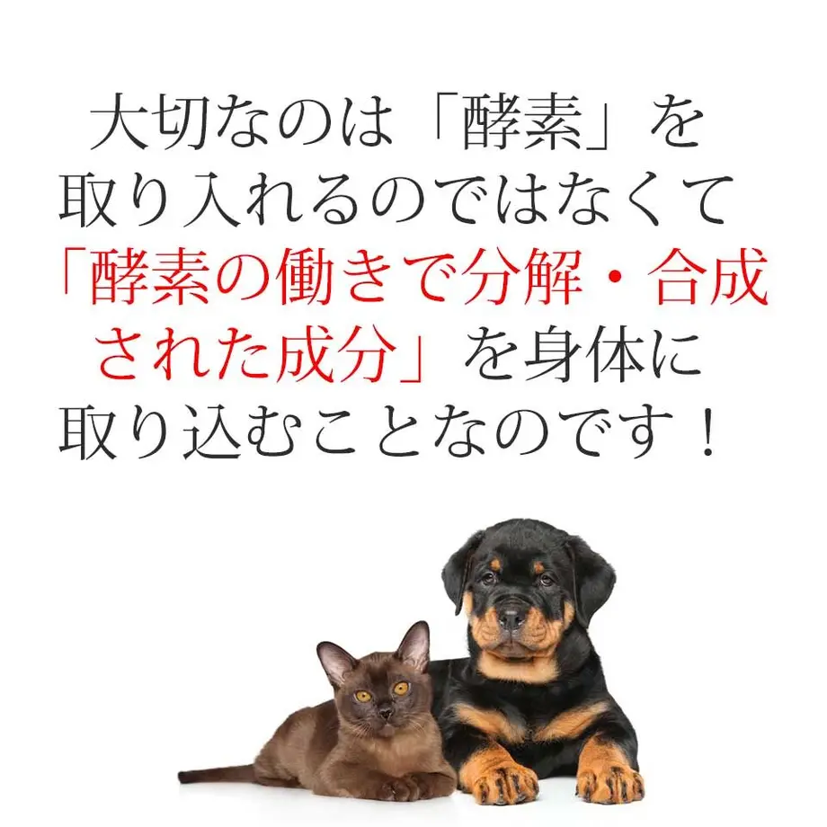 58b67f1da458c08121001254