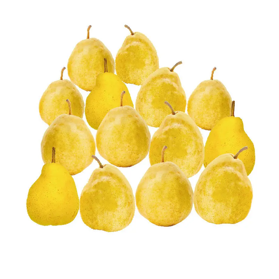 5dc21de36379442124a0e02f