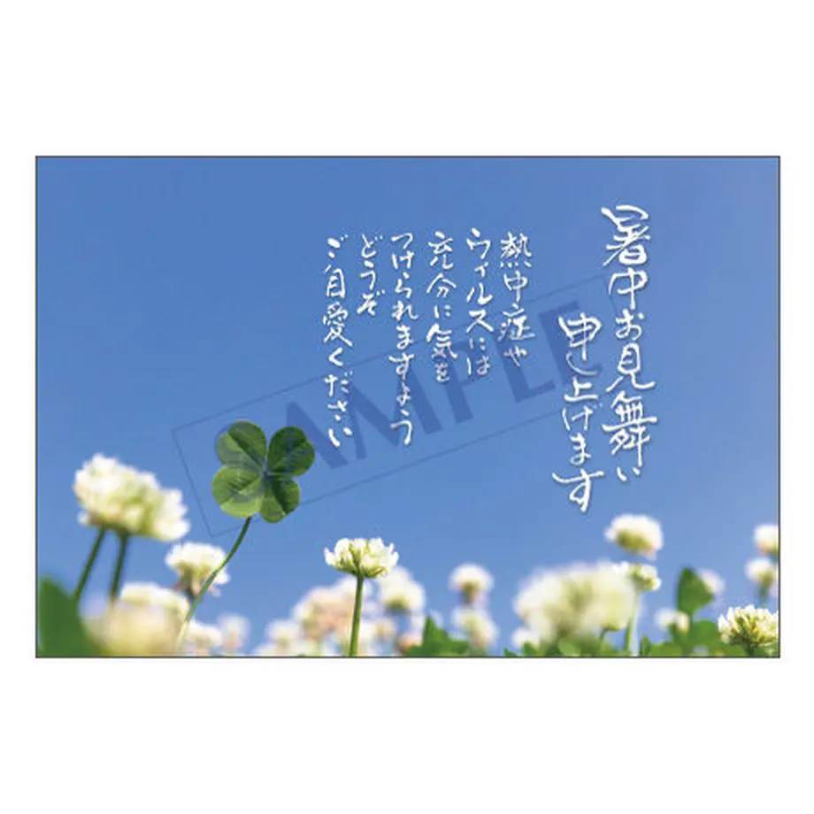 5ee98538d26fa549227afb31