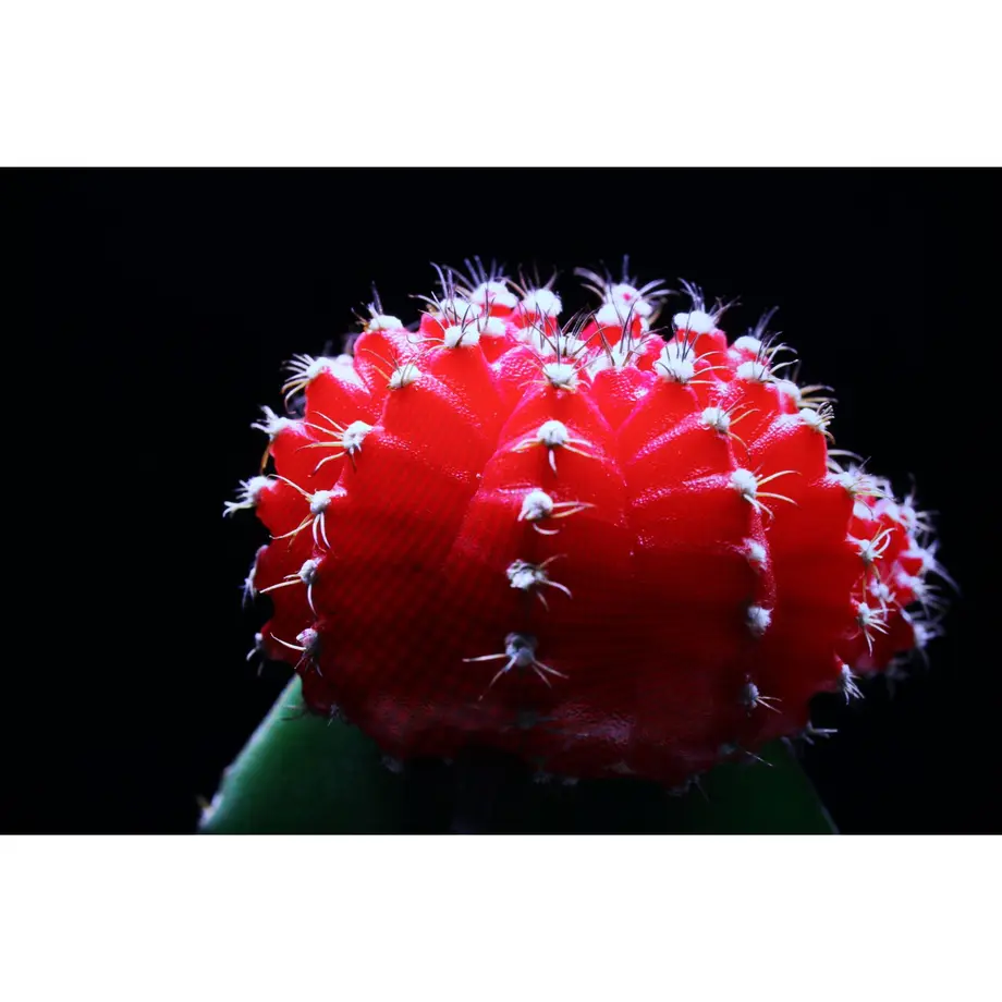 5d5f37e02e89b75f1a49c534