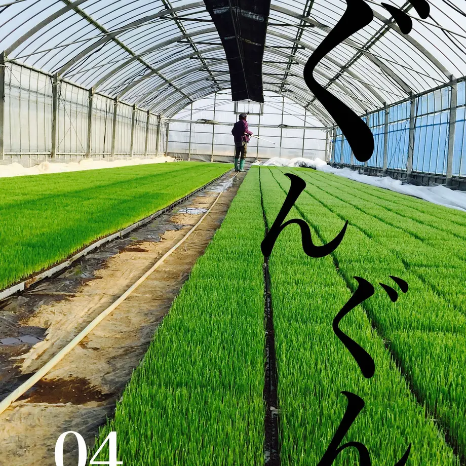 518c4b6962d7d565a5000008