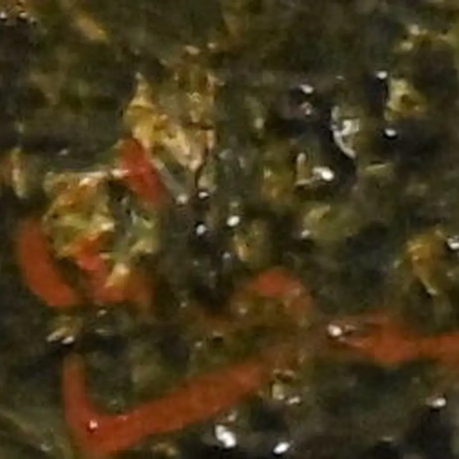 5fa66fd28a45723001293164