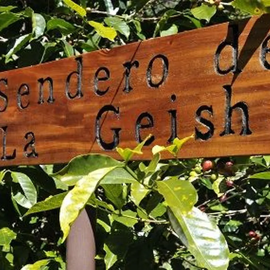 5dd8df64a551d54ada9a0a82