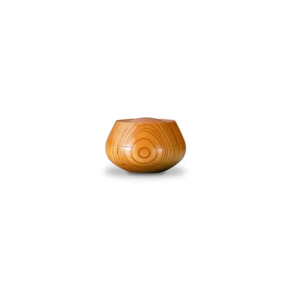 5c5501d568702479901adfb5