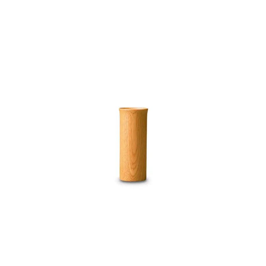 52ff0c243e7a4a1bb60005a4