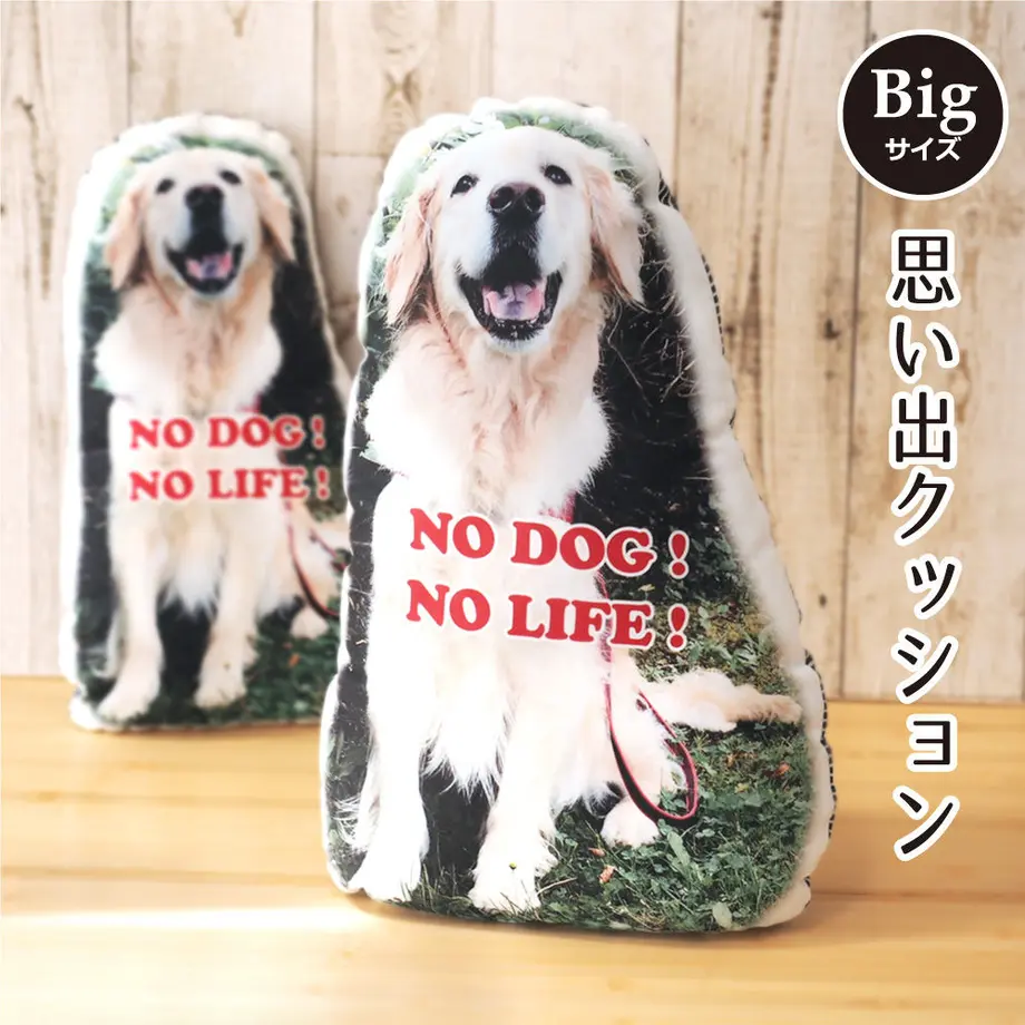 5b7cbfd35496ff6e33000199