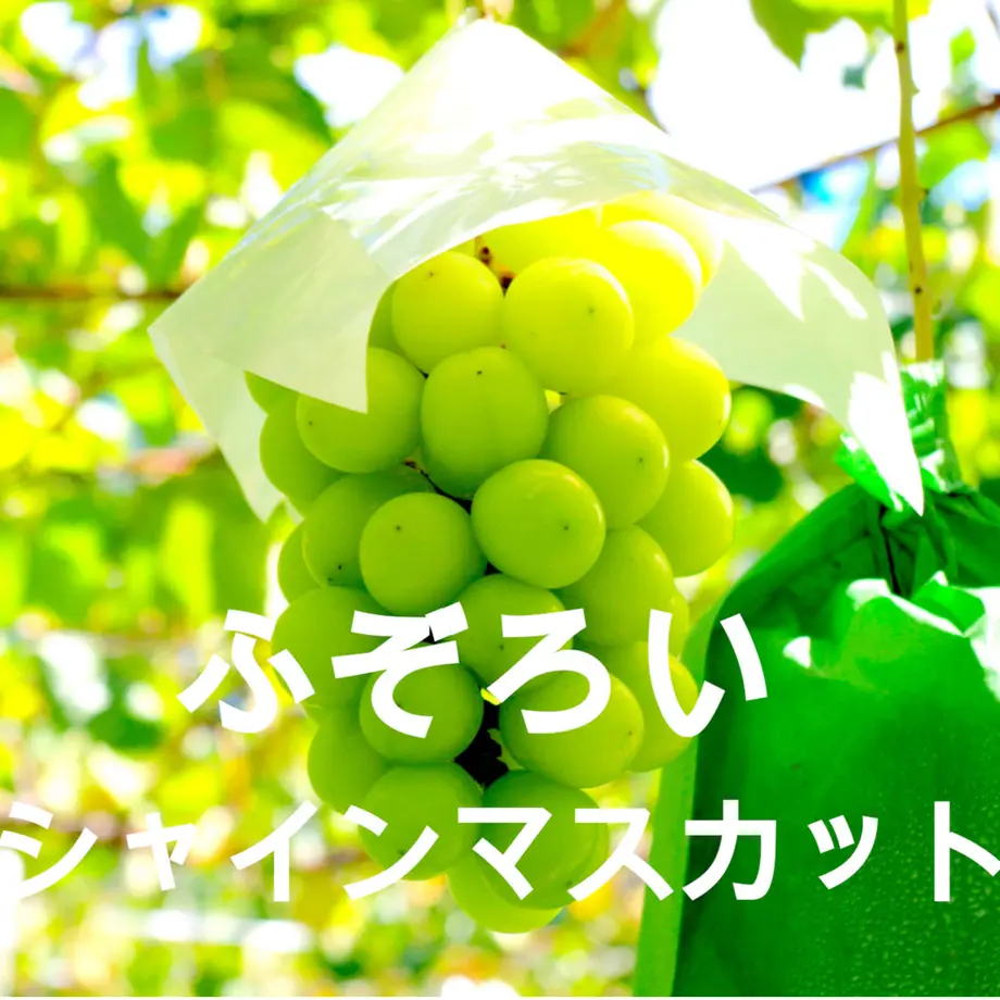 5f369e3f791d026dcf0555e4