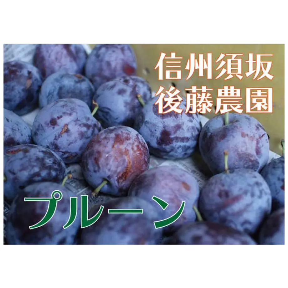 5f203f4a791d02435f2c171e