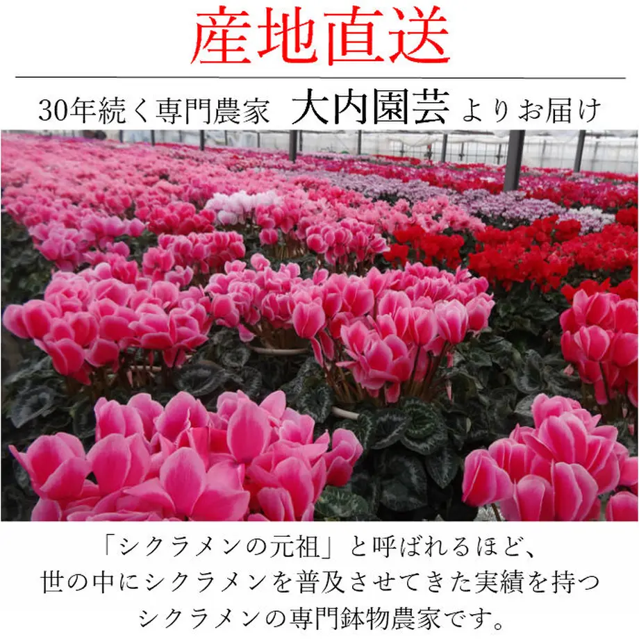 5fb4c125f0b10819cc869860
