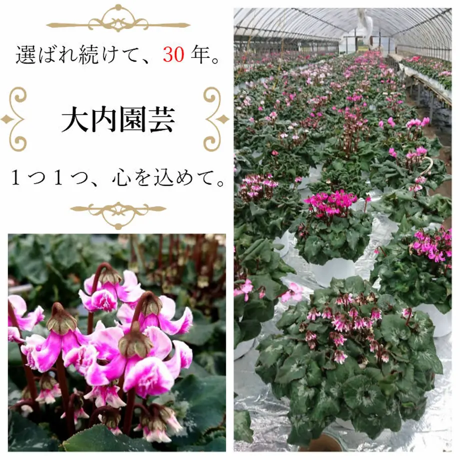 5fb4c125f0b10819cc869860